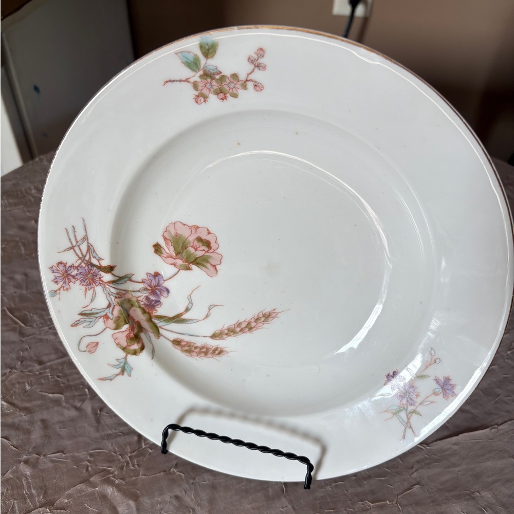 Vintage Marx & Gutherz Salad Plate in Brown and Pink